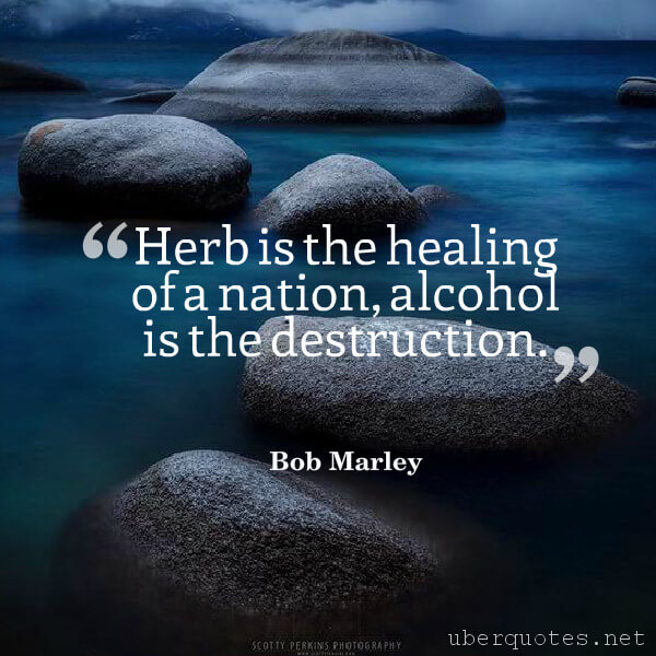 Life quotes by Bob Marley, Death quotes by Bob Marley, Government quotes by Bob Marley, Society quotes by Bob Marley, Medical quotes by Bob Marley, UberQuotes