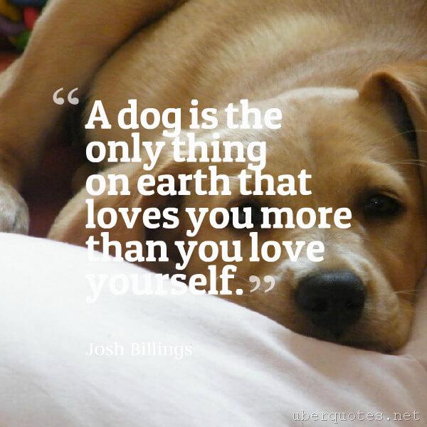 Love quotes by Josh Billings, Pet quotes by Josh Billings, UberQuotes